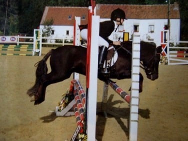 Polisson en obstacles
